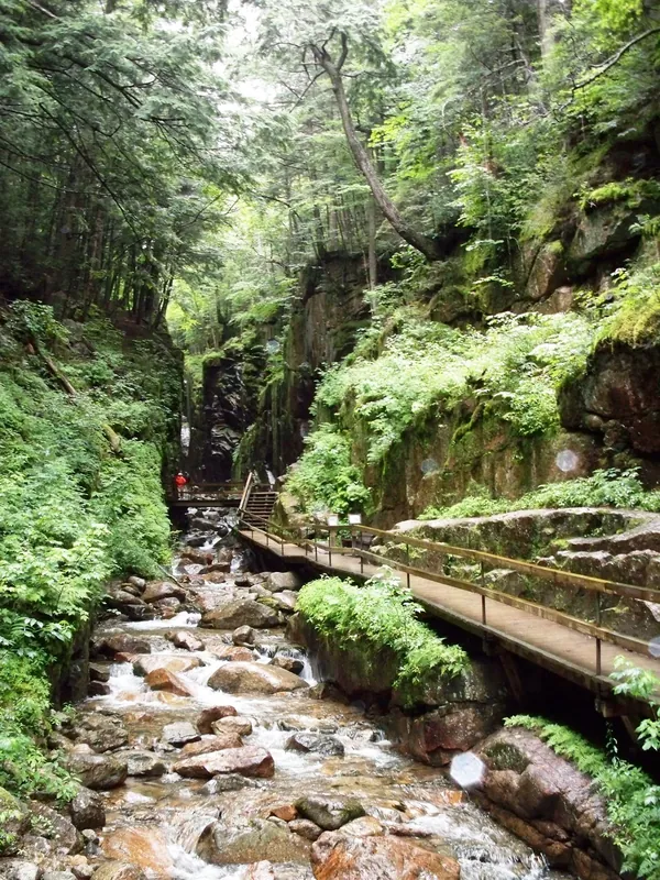 Boardwalk through the Flume Gorge