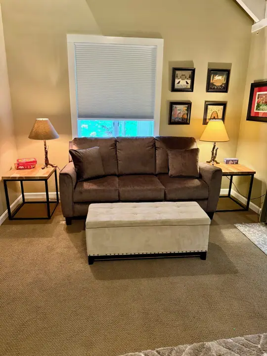 Brand new couch