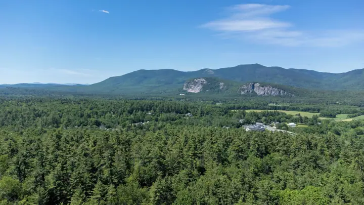 A forested landscape with mountains in the background and a small cluster of buildings