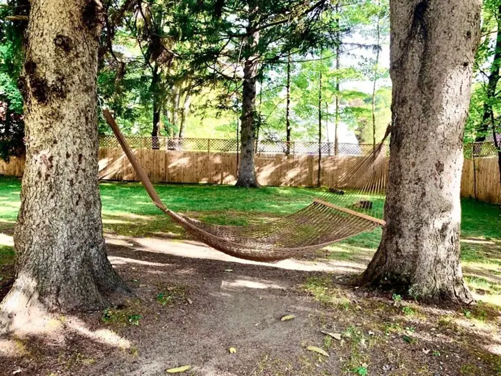 Take a nap in the fenced in back yard
