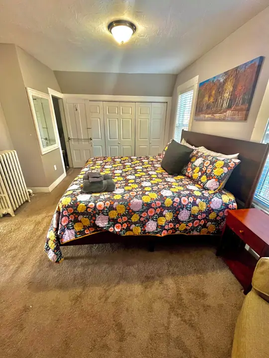 A bedroom with a bed, a radiator, a door, and a painting on the wall