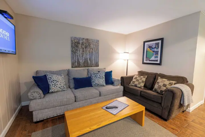 A living room with two couches, a coffee table, a TV, a painting, and a lamp