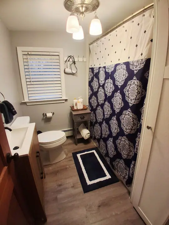 A bathroom with a toilet, sink, and shower curtain