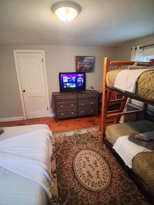 A bedroom with a bunk bed, a television on a dresser, a door, and a patterned rug
