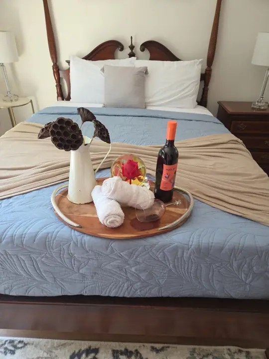 Master queen suite lower level