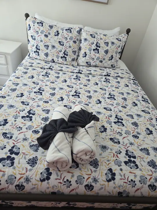 Same room a queen with twin