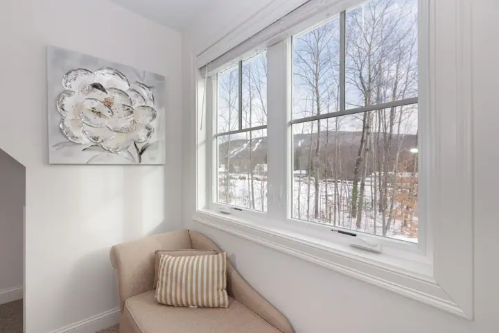 IN king room view of Mt