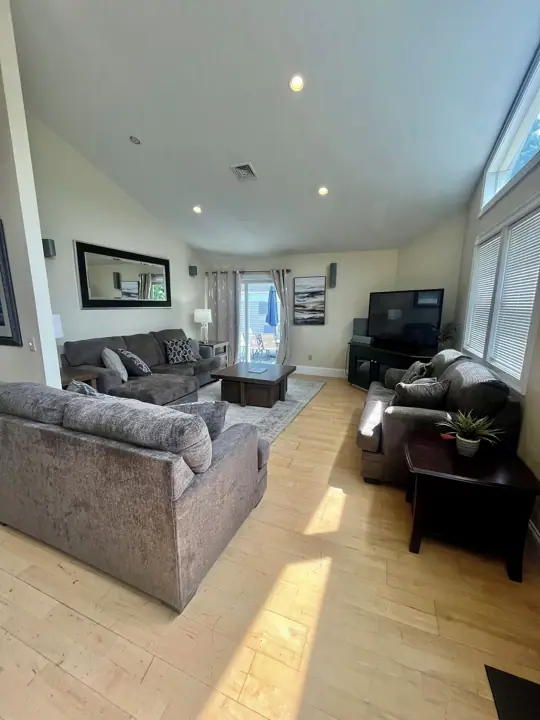 A spacious living room with a large grey sofa, a coffee table, a TV, and a potted plant